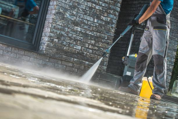 Best Animal Enclosure Cleaning  in Plandome, NY