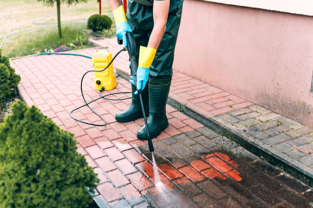 Best Fence Cleaning  in Plandome, NY